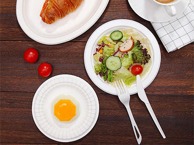 Biodegradable tableware has significant market potential!