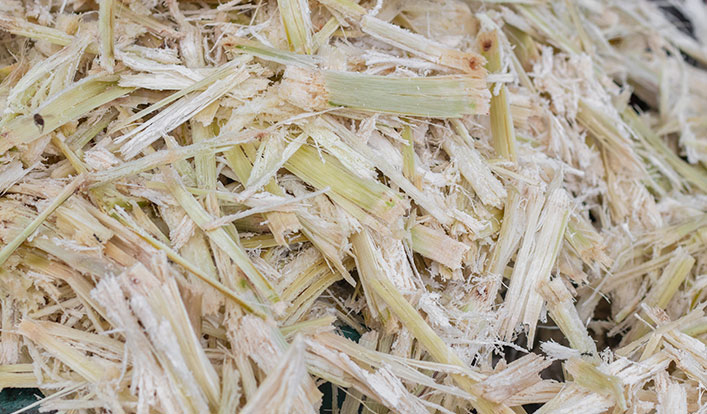 Why choose bagasse pulp?