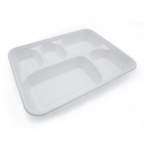 Plant fiber biodegradable container