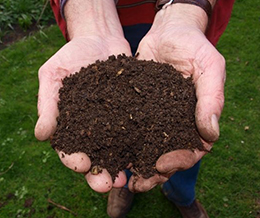 Home Compost