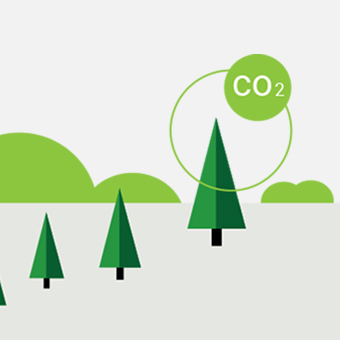 Carbon Emission Reduction